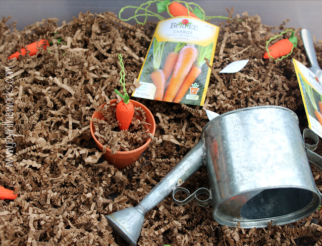 Spring is a great time to read The Carrot Seed and do some gardening dramatic play with this carrot sensory bin.
