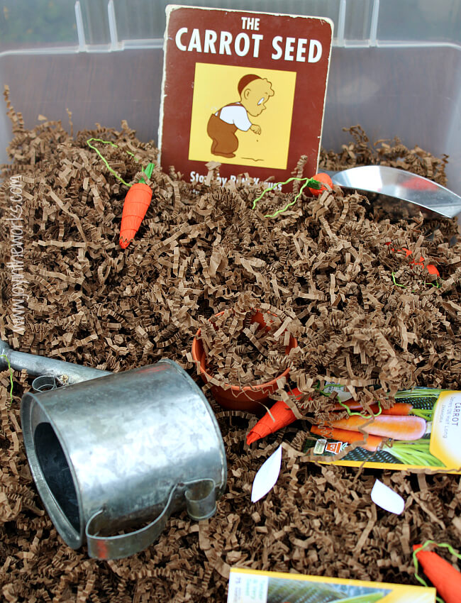 Spring is a great time to read The Carrot Seed and do some gardening dramatic play with this carrot sensory bin.
