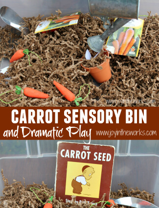 Carrot Sensory Bin and Dramatic Play