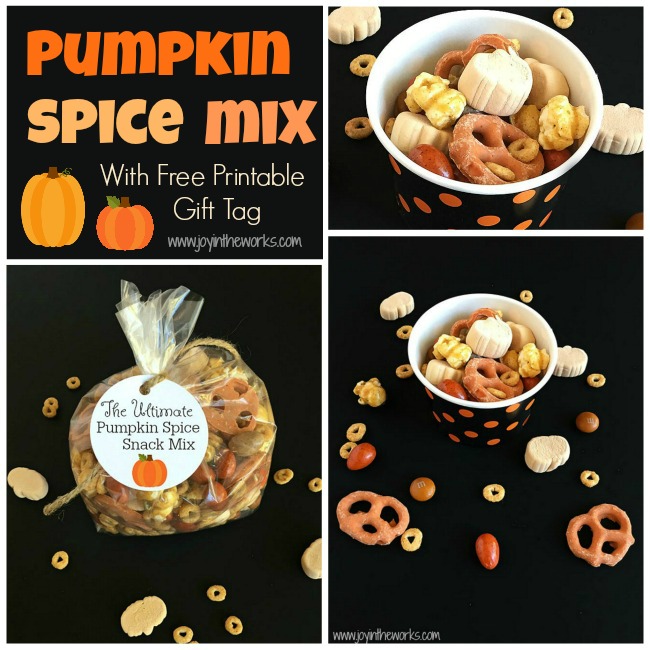 Pumpkin Spice fan? Then you have to try this Pumpkin Spice Snack Mix! It contains everything pumpkin spice flavored that you could ever want! From Pumpkin Spice Marshmallows to Pumpkin Spice M&M's to Pumpkin Spice Cheerios, this Fall Trail Mix has it all!