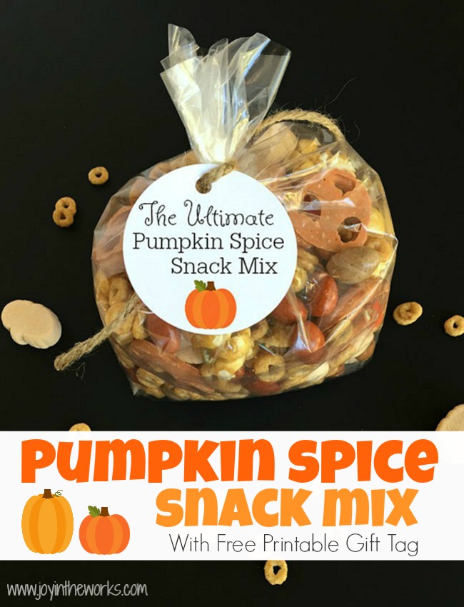 Pumpkin Spice fan? Then you have to try this Pumpkin Spice Snack Mix! It contains everything pumpkin spice flavored that you could ever want! From Pumpkin Spice Marshmallows to Pumpkin Spice M&M's to Pumpkin Spice Cheerios, this Fall Trail Mix has it all!