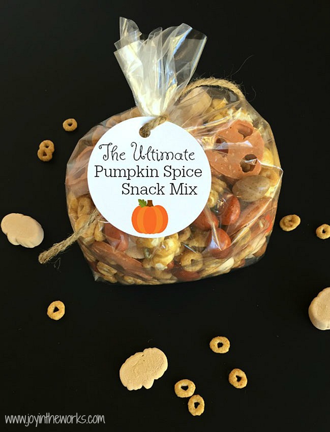 Pumpkin Spice fan? Then you have to try this Pumpkin Spice Snack Mix! It contains everything pumpkin spice flavored that you could ever want! From Pumpkin Spice Marshmallows to Pumpkin Spice M&M's to Pumpkin Spice Cheerios, this Fall Trail Mix has it all!