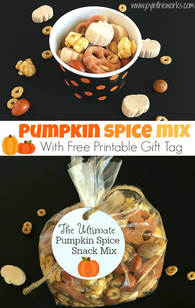 Pumpkin Spice fan? Then you have to try this Pumpkin Spice Snack Mix! It contains everything pumpkin spice flavored that you could ever want! From Pumpkin Spice Marshmallows to Pumpkin Spice M&M's to Pumpkin Spice Cheerios, this Fall Trail Mix has it all!