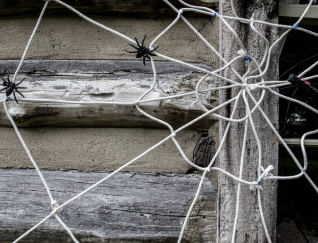 Stick candy on a spider web for no touch trick or treating during Covid-19